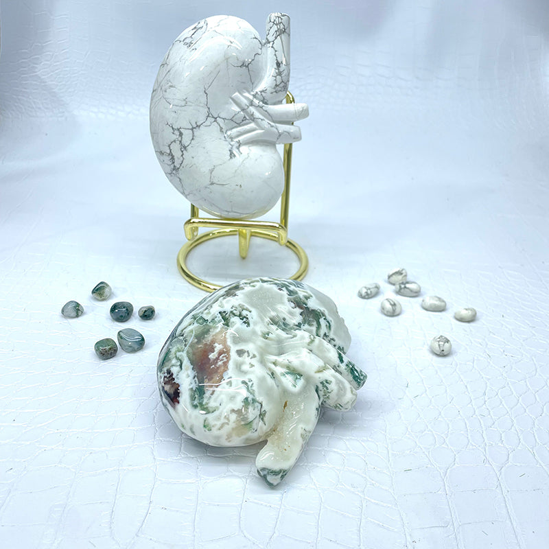 Crystal ornament viscera shape-kidneys