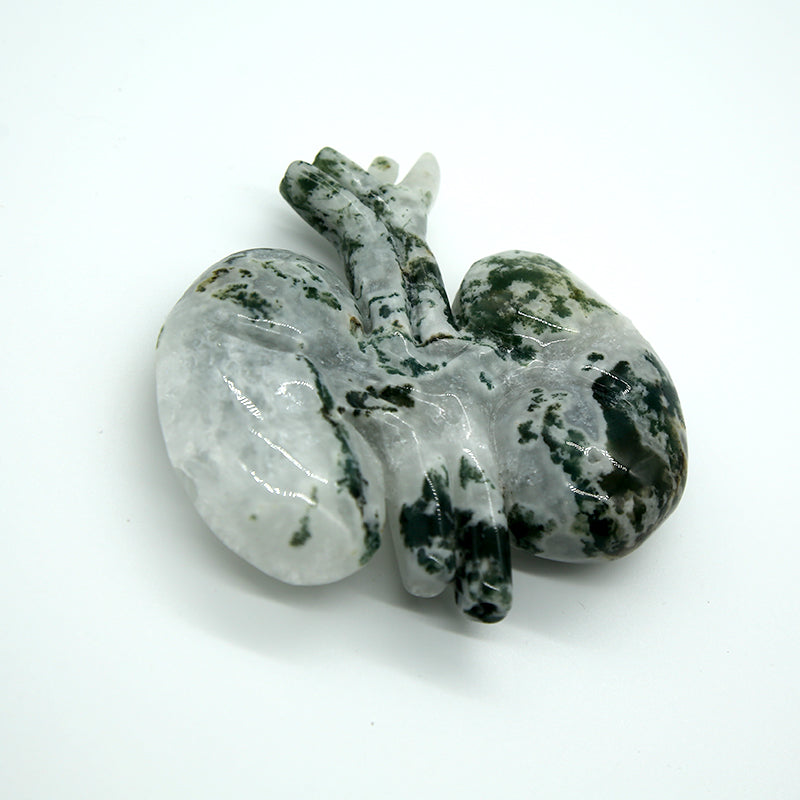 Crystal ornament viscera shape-kidneys